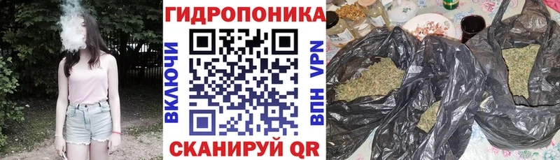 Купить закладку A PVP Амфетамин Бошки Шишки Меф мяу мяу Ковылкино