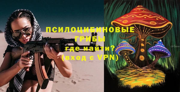a pvp Зеленокумск