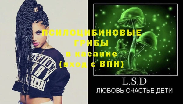 первитин Инсар
