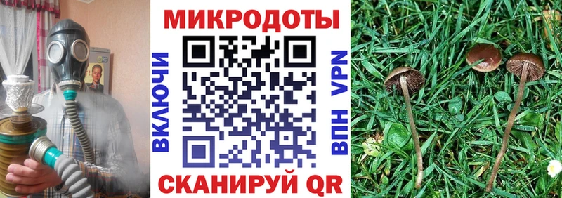 Купить  Ковылкино  Галлюциногенные грибы MAGIC MUSHROOMS 